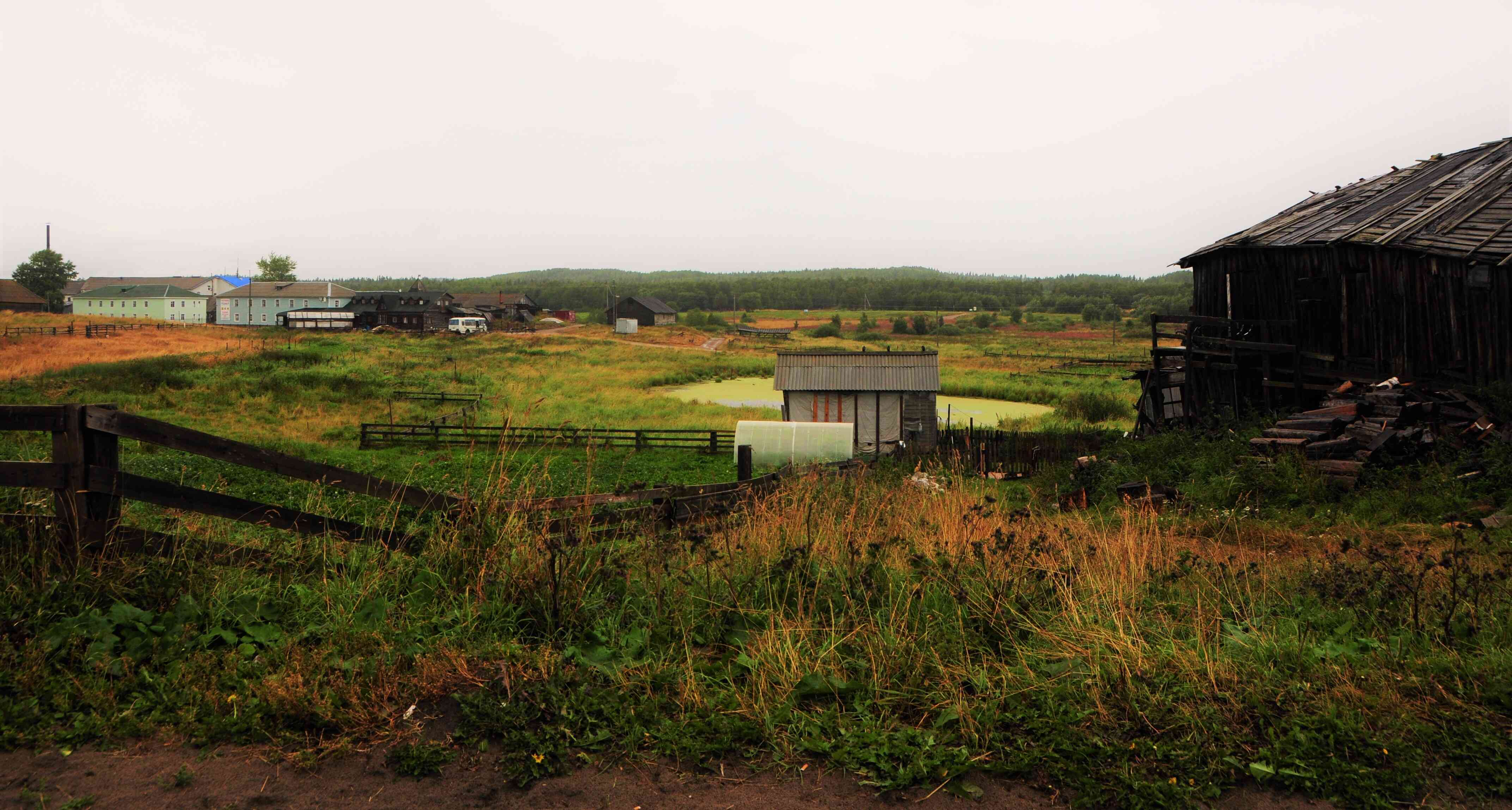 Beyond the fence